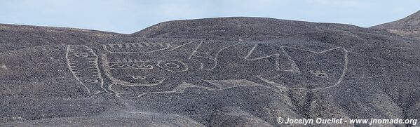 Géoglyphes de Palpa - Palpa - Pérou