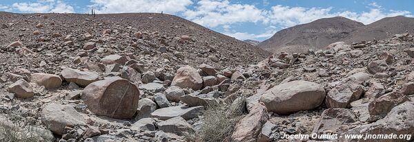 Etapas de la Vida Petroglyphs - Palpa - Peru