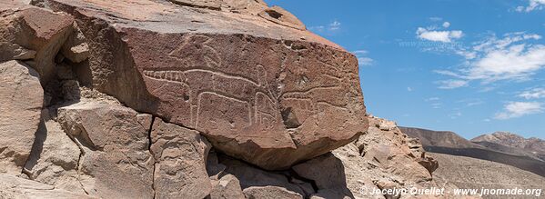 Chichictara Petroglyphs - Palpa - Peru