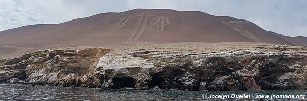 Paracas National Reserve - Peru