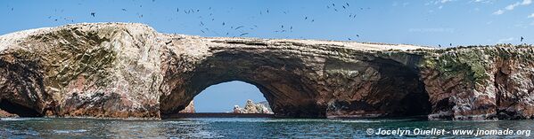 Islas Ballestas - Réserve nationale de Paracas - Pérou