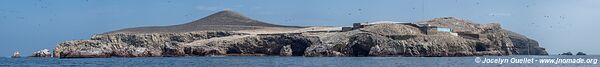 Islas Ballestas - Réserve nationale de Paracas - Pérou