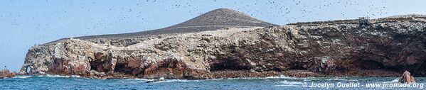 Islas Ballestas - Réserve nationale de Paracas - Pérou