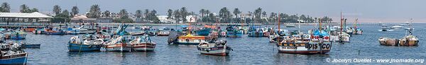 El Chaco (Paracas) - Peru