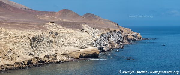 Paracas National Reserve - Peru