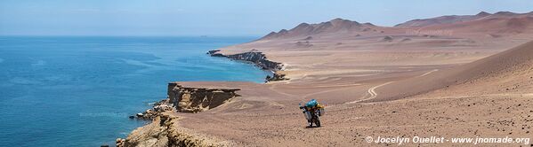 Réserve nationale de Paracas - Pérou