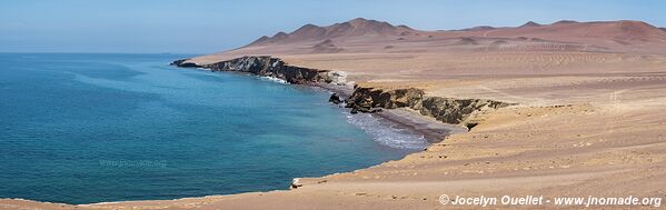 Réserve nationale de Paracas - Pérou