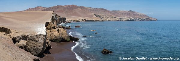 Paracas National Reserve - Peru