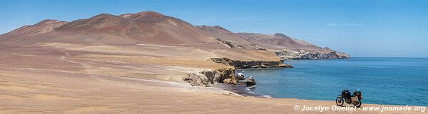 Réserve nationale de Paracas - Pérou