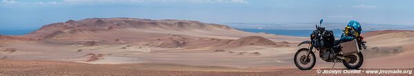 Réserve nationale de Paracas - Pérou