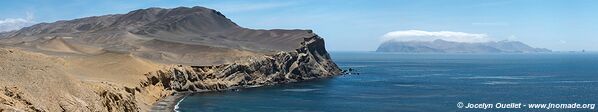 Réserve nationale de Paracas - Pérou