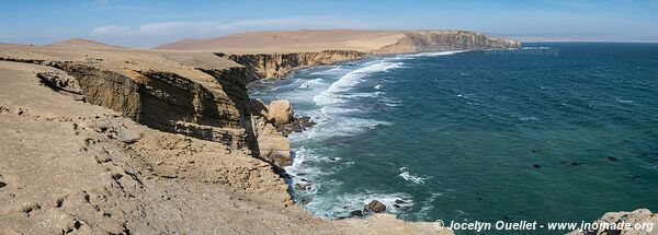 Paracas National Reserve - Peru