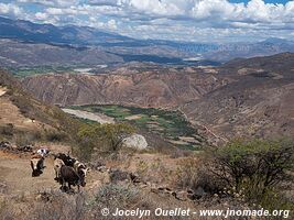 Road from Cajamarca to Cajabamba - Peru