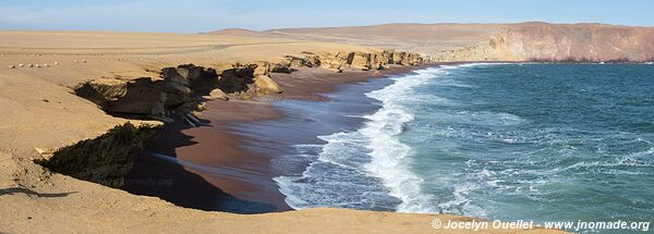 Réserve nationale de Paracas - Pérou