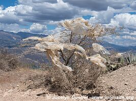 Route de Cajamarca à Cajabamba - Pérou