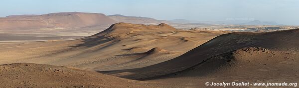 Réserve nationale de Paracas - Pérou