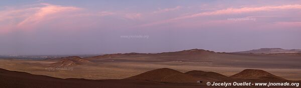 Paracas National Reserve - Peru