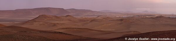 Réserve nationale de Paracas - Pérou