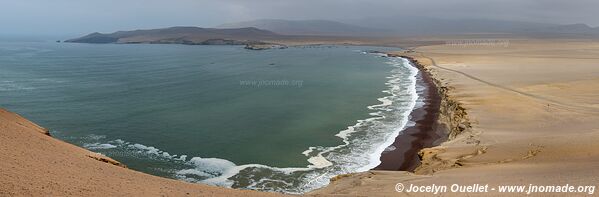 Réserve nationale de Paracas - Pérou