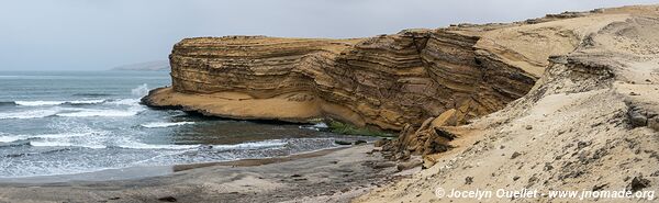 Paracas National Reserve - Peru