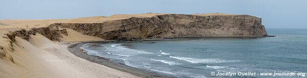 Paracas National Reserve - Peru