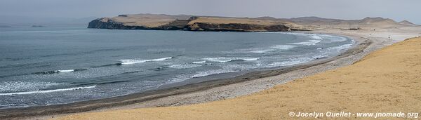 Paracas National Reserve - Peru