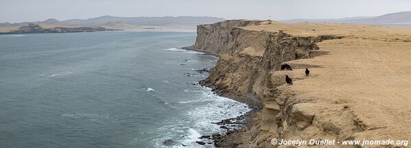 Paracas National Reserve - Peru