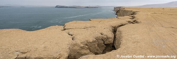 Paracas National Reserve - Peru