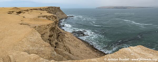 Réserve nationale de Paracas - Pérou