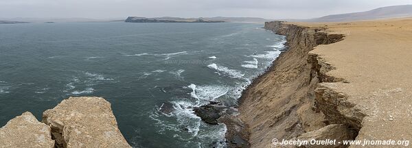 Réserve nationale de Paracas - Pérou