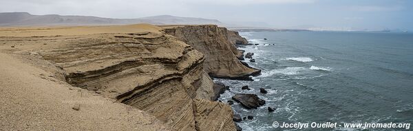 Réserve nationale de Paracas - Pérou