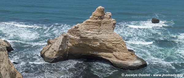 Réserve nationale de Paracas - Pérou