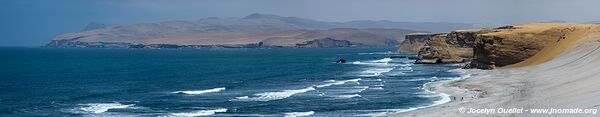 Réserve nationale de Paracas - Pérou