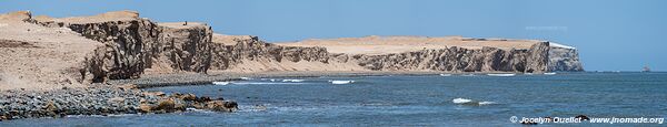 Réserve nationale de Paracas - Pérou