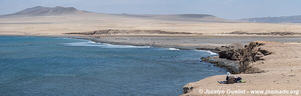 Réserve nationale de Paracas - Pérou