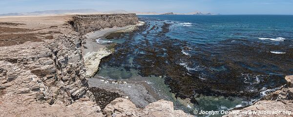 Paracas National Reserve - Peru