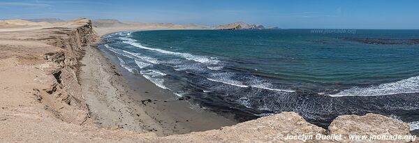 Réserve nationale de Paracas - Pérou