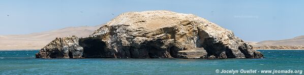 Réserve nationale de Paracas - Pérou