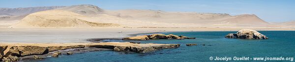 Réserve nationale de Paracas - Pérou