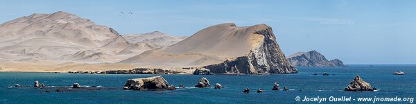 Réserve nationale de Paracas - Pérou