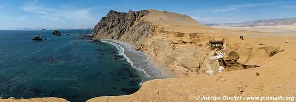 Réserve nationale de Paracas - Pérou