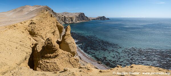 Réserve nationale de Paracas - Pérou