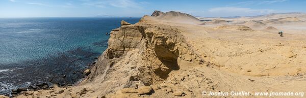 Paracas National Reserve - Peru