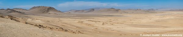 Réserve nationale de Paracas - Pérou