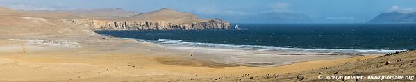 Paracas National Reserve - Peru