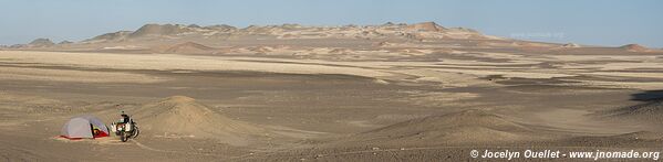 Paracas National Reserve - Peru