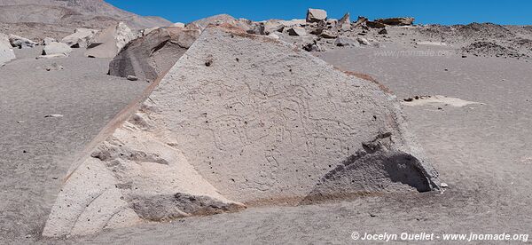 Toro Muerto Petroglyphs - Peru