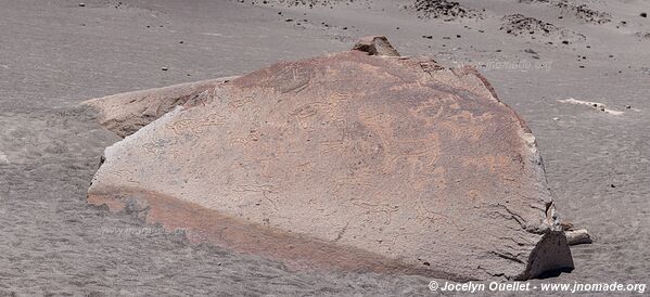 Toro Muerto Petroglyphs - Peru