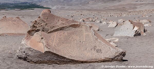 Toro Muerto Petroglyphs - Peru