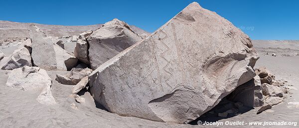 Toro Muerto Petroglyphs - Peru